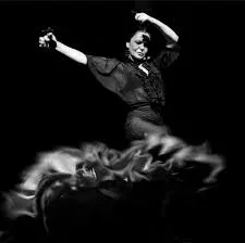 flamenco