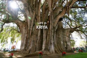 life is “Kriya”