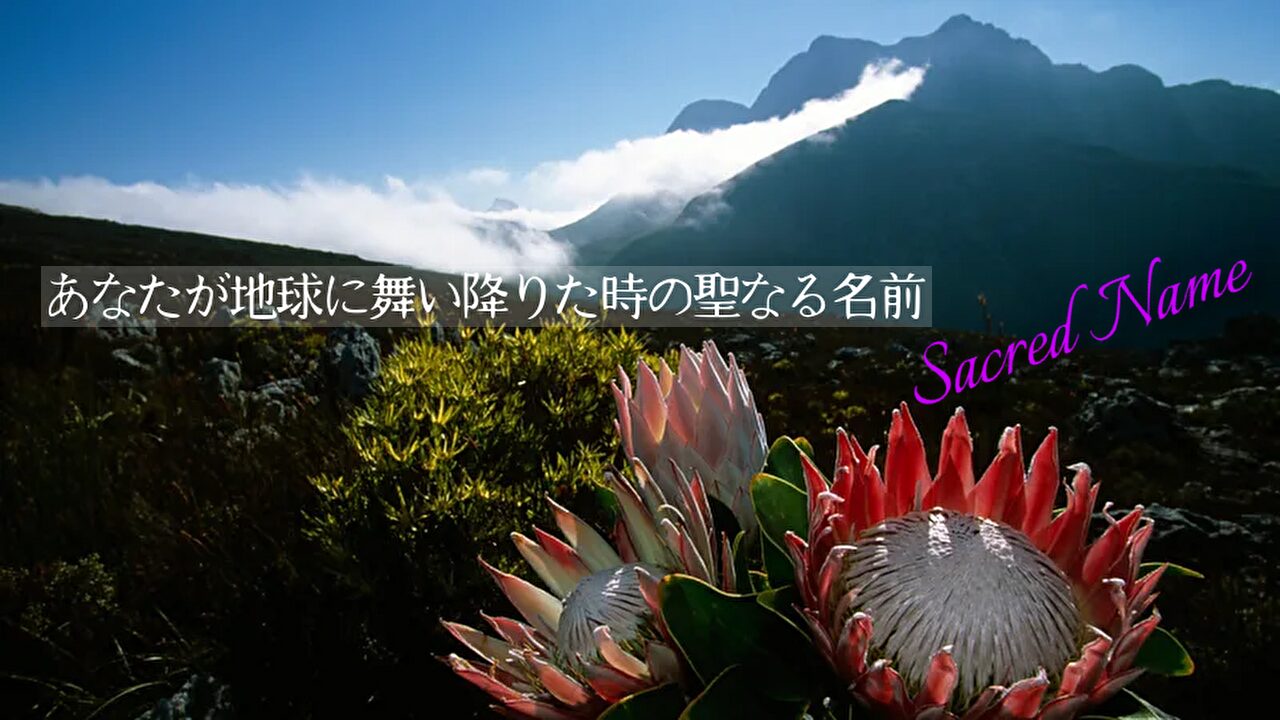 【あなたが地球に舞い降りた時の聖なる名前（Sacred Name）】